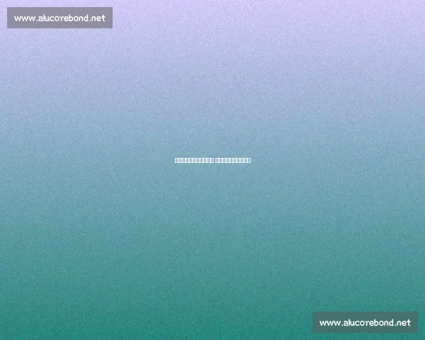 张庆鹏执教北控革新战术 陈国豪迎投射蜕变机遇