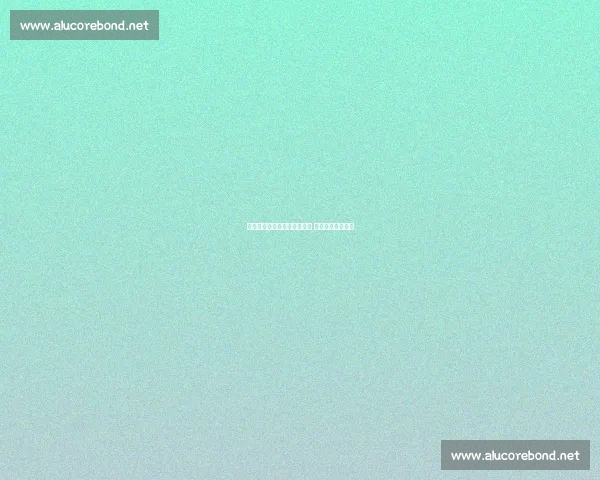 申花翻译周欣更衣室拍桌怒吼 全队誓言战斗到底