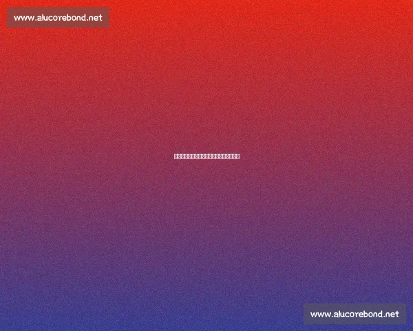 主帅盛赞东契奇：非凡表现背后是全队同心