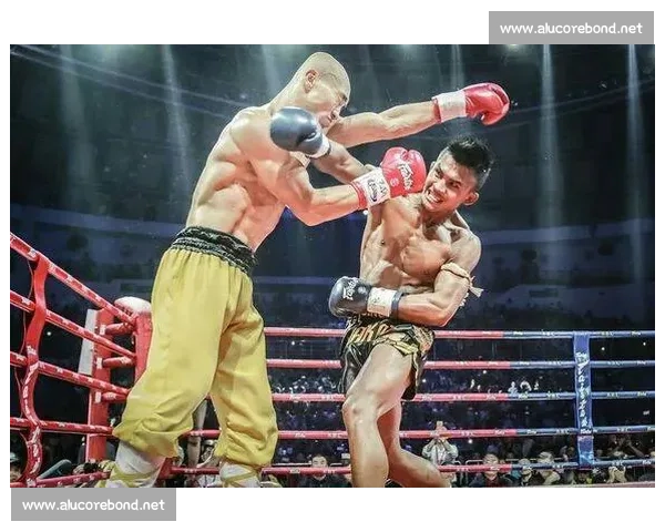 播求对决一龙二番战背后的争议荣誉与格斗时代回响全解析真相再思